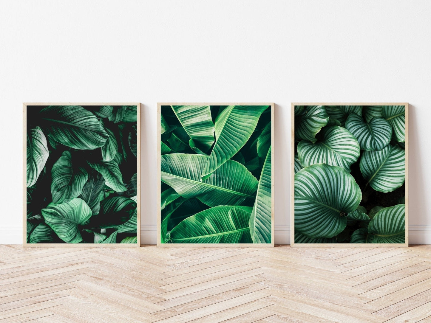 Botanical Trio
