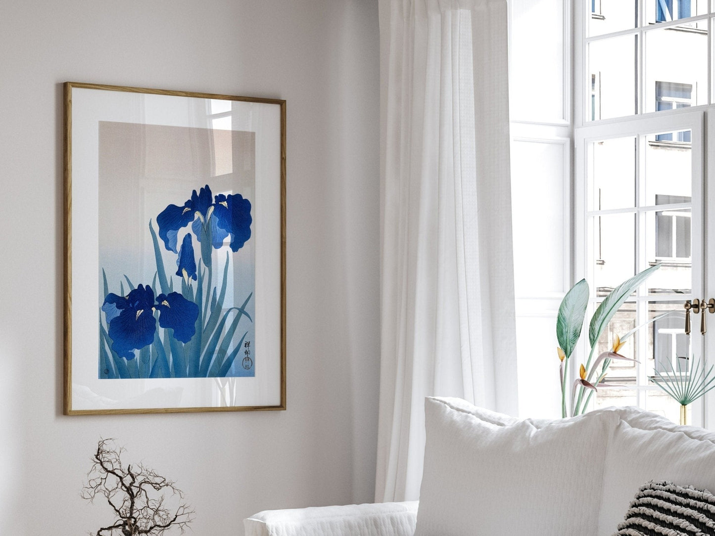 Iris Flowers