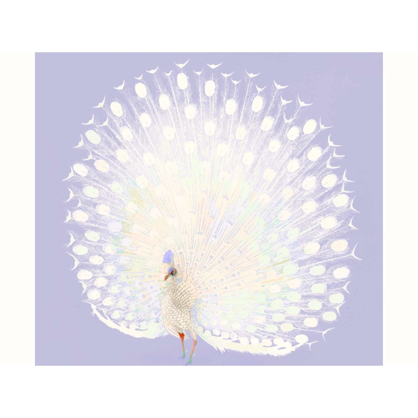 Peacock by Ohara Koson - Lilac - AureousHome