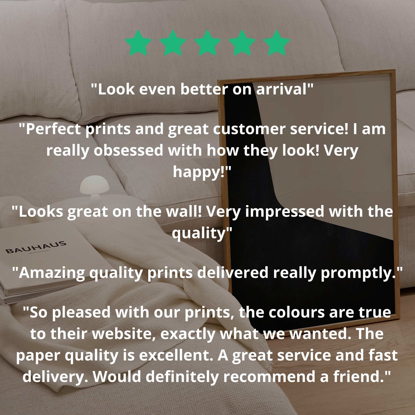 Spirited - AureousHome