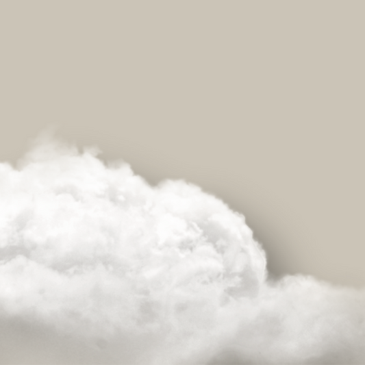 Above The Clouds Duo - Beige - AureousHome