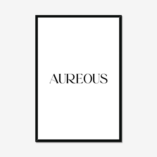 24x36 Inch Black Wooden Frame - AureousHome