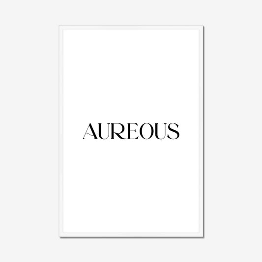 24x36 Inch White Wooden Frame - AureousHome