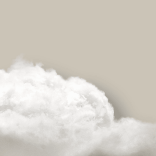 Above The Clouds Duo - Beige - AureousHome