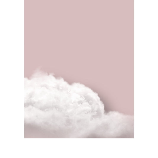 Above The Clouds Duo - Blush - AureousHome