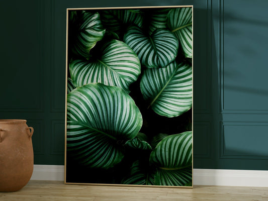Botanical II - AureousHome