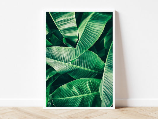 Botanical III - AureousHome