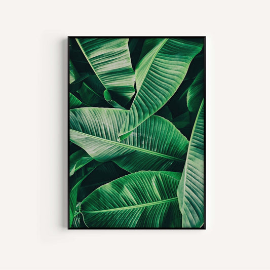 Botanical III - AureousHome
