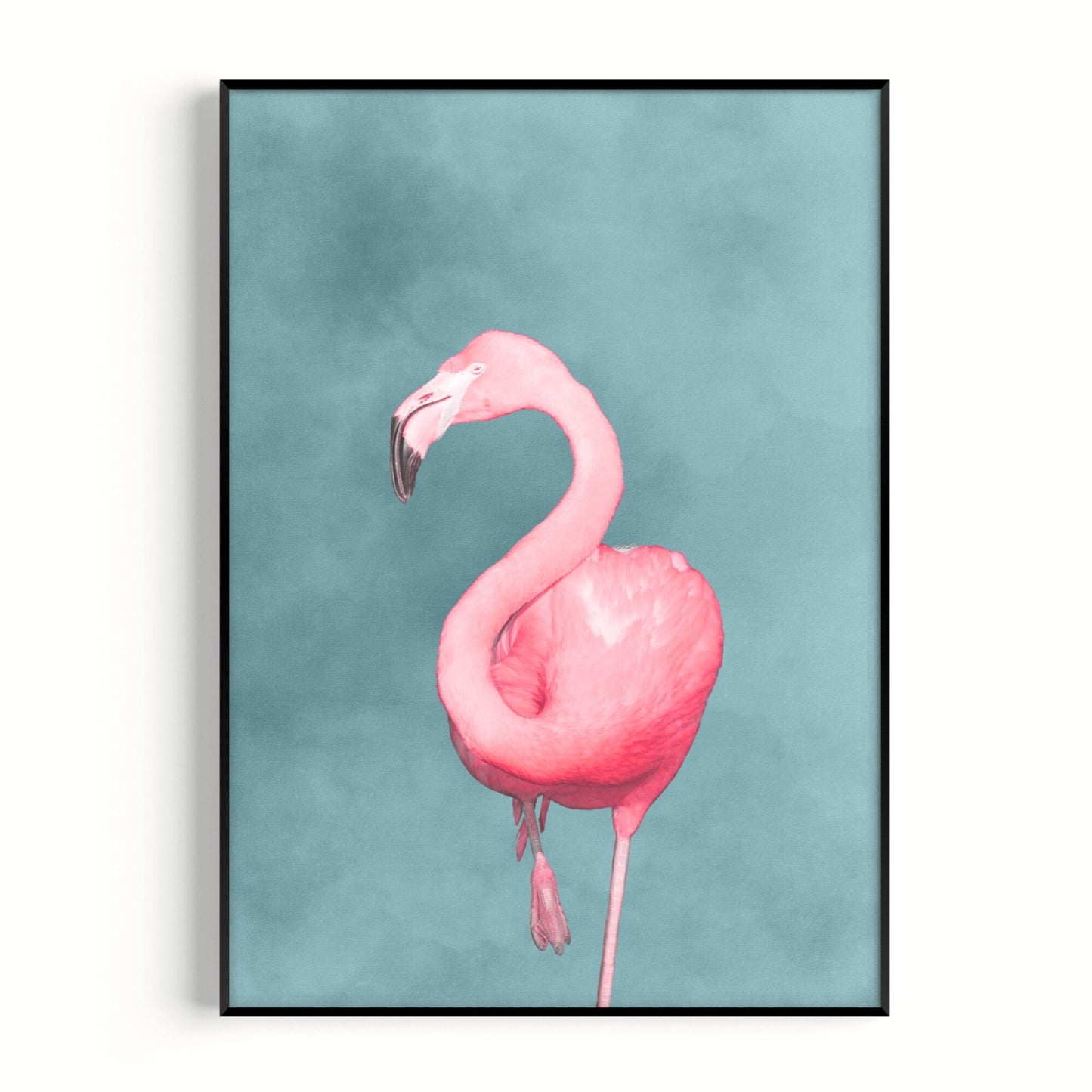 Flamingo - Sky Blue / Pink - AureousHome