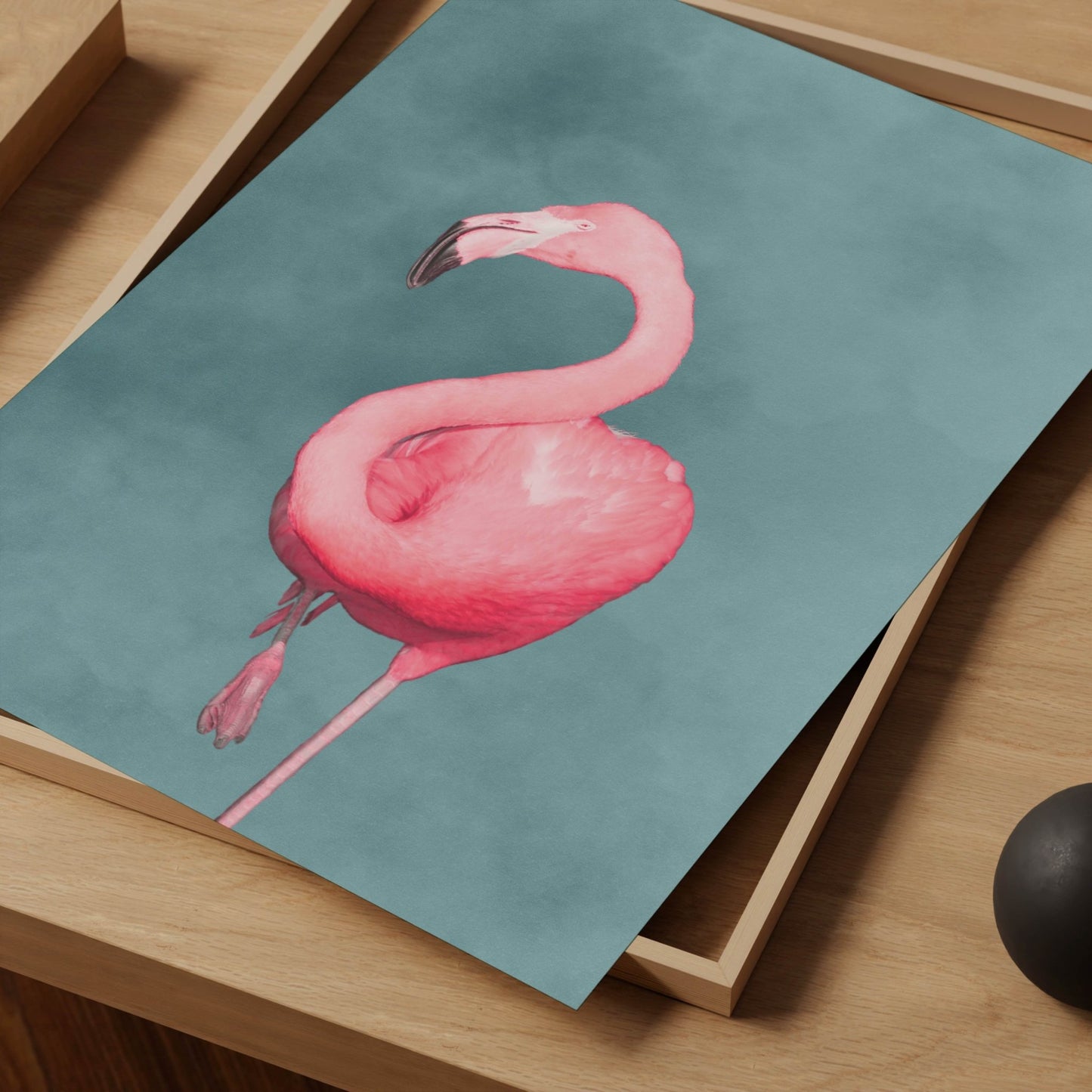 Flamingo - Sky Blue / Pink - AureousHome