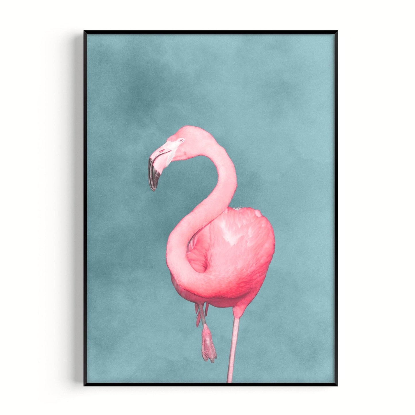 Flamingo - Sky Blue / Pink - AureousHome