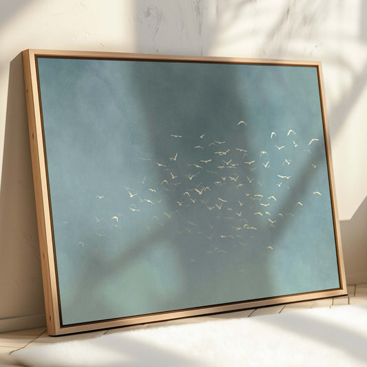 Les Oiseaux Framed Canvas - Sky Blue / Horizontal - AureousHome