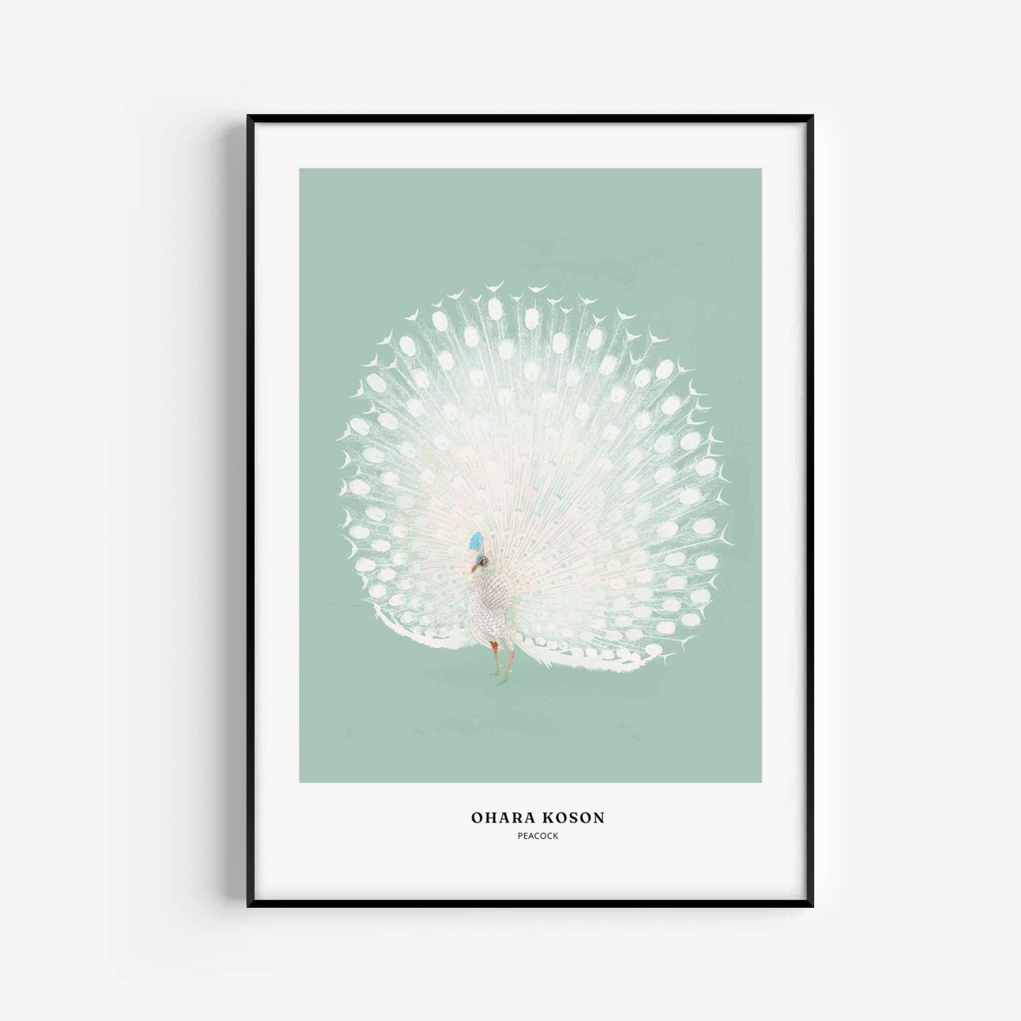 Peacock by Ohara Koson - Mint Green - AureousHome
