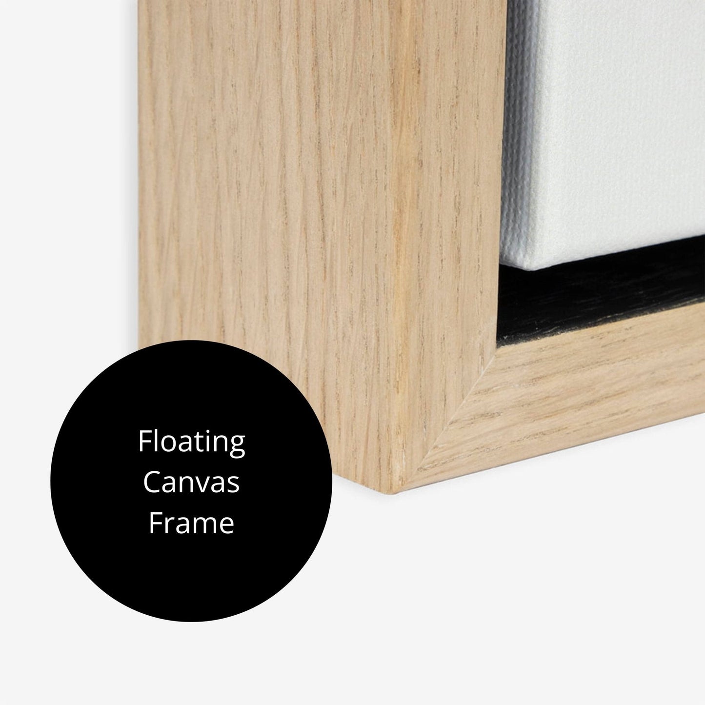 Skye Framed Canvas Duo - Blush - AureousHome