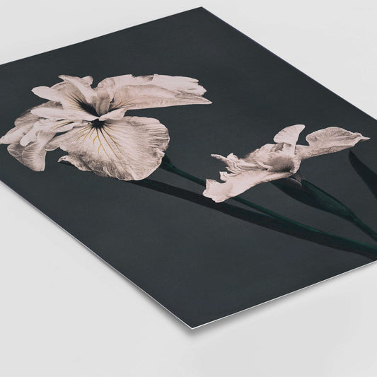 Vintage Flower - AureousHome