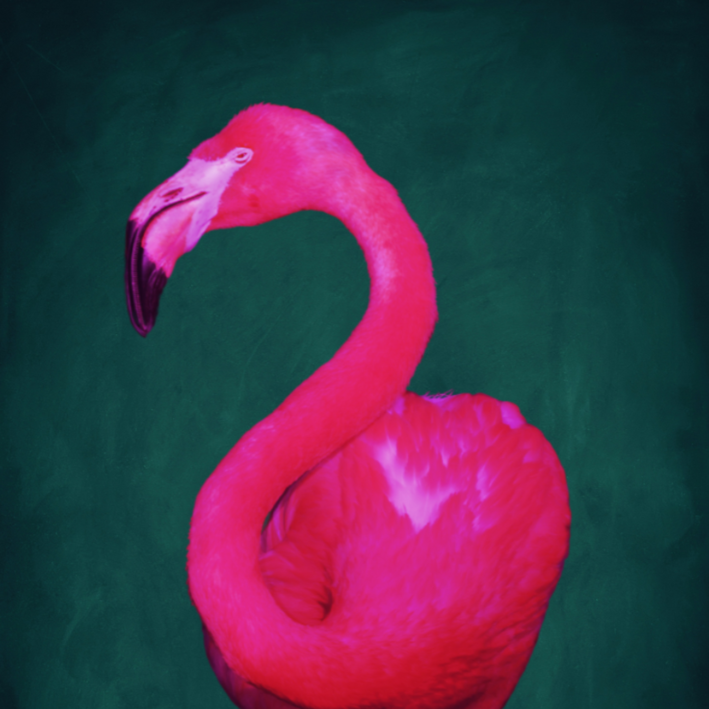 Pink and green flamingo wall art poster