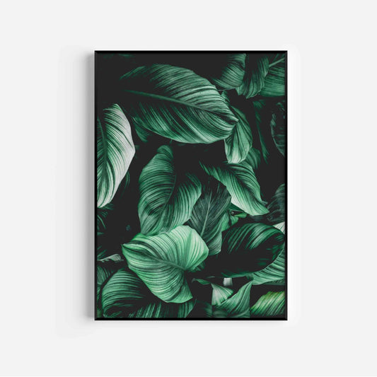 Botanical Wall Art Print