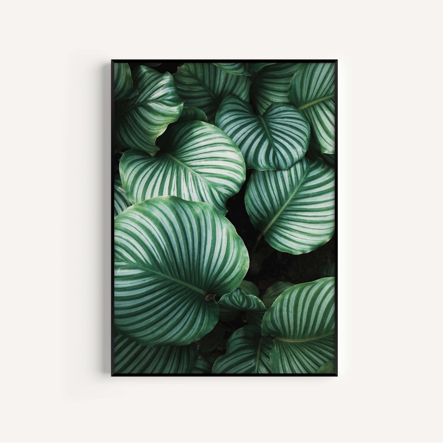 Botanical Leaf Wall Art Print