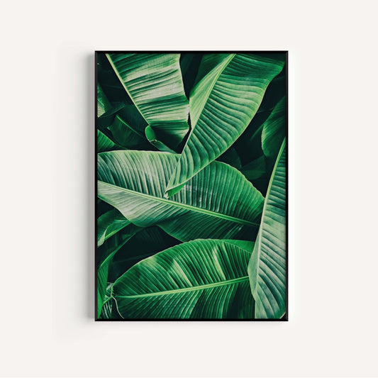 Botanical Palm Wall Art Print