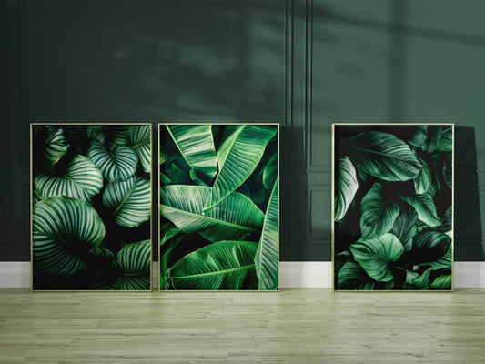 Botanical Wall Art Prints - Set Of 3