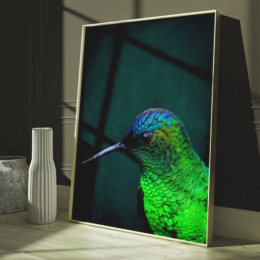 Hummingbird Wall Art Print