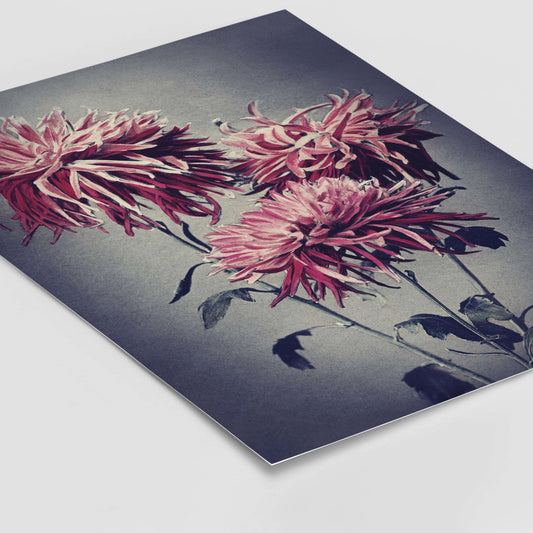 Vintage Flower Trio - AureousHome